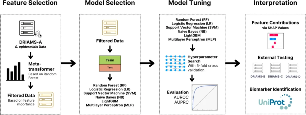 Summary of modeling workflow. S. epidermidis data